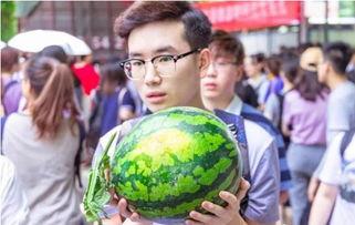 学校吃瓜都在哪发,校园“吃瓜”盛地大揭秘 第3张 学校吃瓜都在哪发,校园“吃瓜”盛地大揭秘 第3张